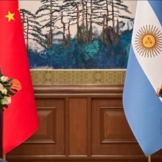 Mondino se reunió con el Ministro de Relaciones Exteriores de China en Beijing